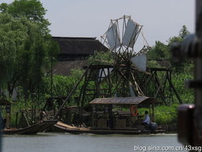 游走在沙家浜濕地公園