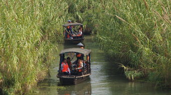 常熟中江智選假日酒店1晚 沙家浜門票 紅色經典旅游