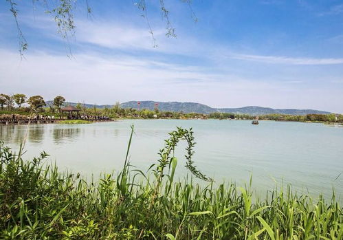 清明出游好去處 全國多景區免費開放，沙家浜成無錫游客優選