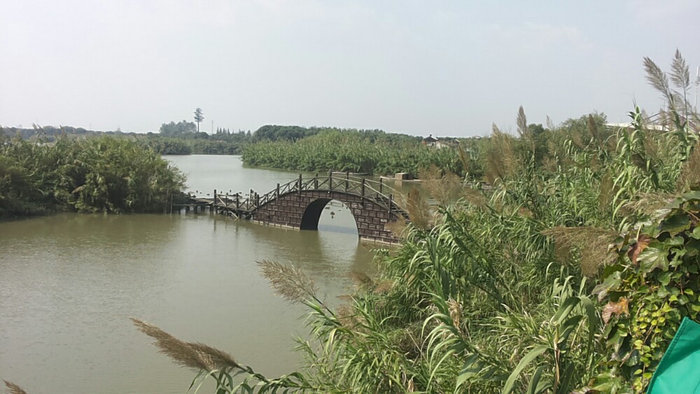 沙家浜風景區 與朋友一同探索常熟的水鄉風情